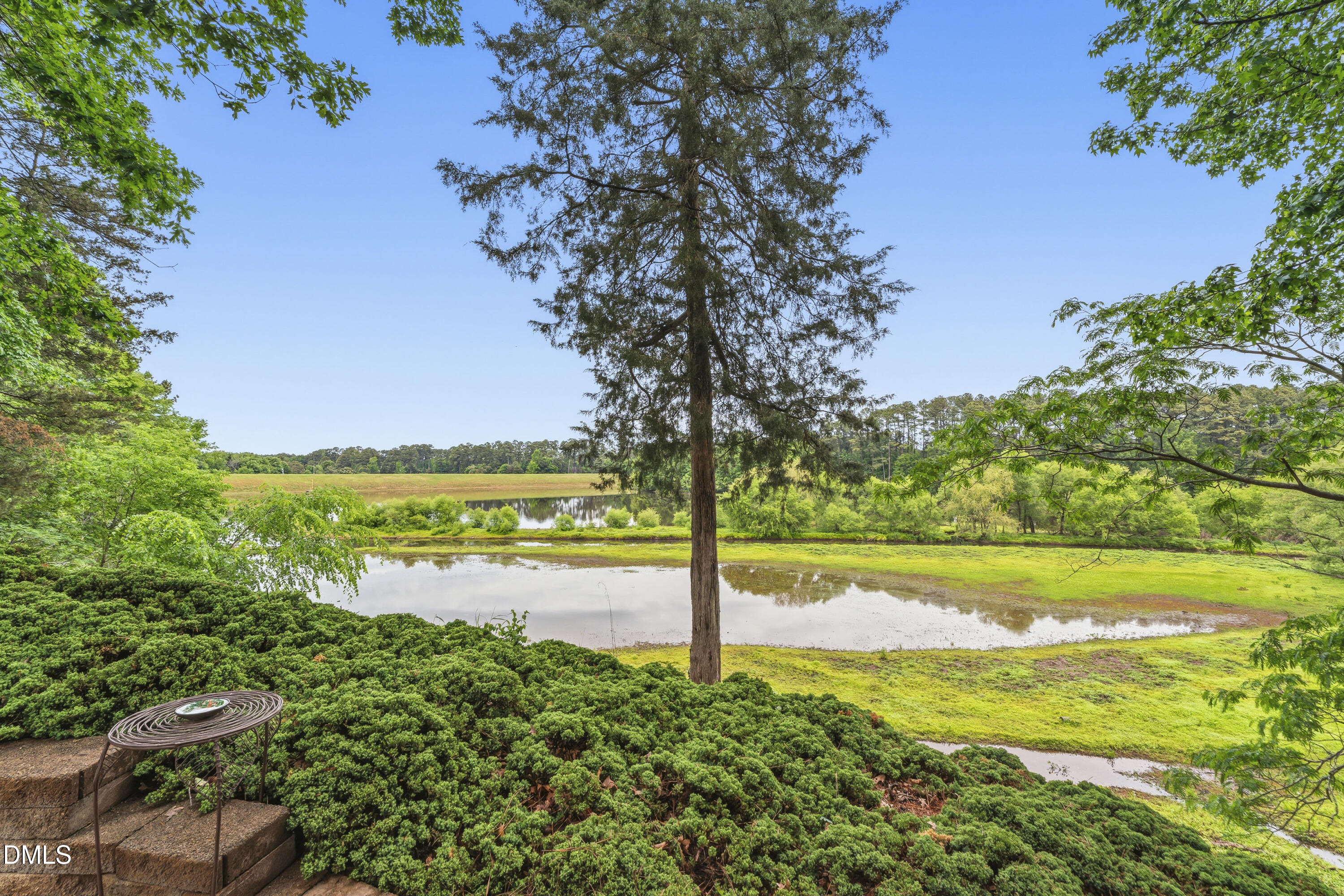 303 Pond Bluff Way Cary, NC 27513 - Photo 96 of 106 photos_high_resolution_DSC07487
