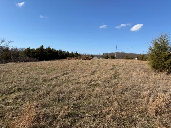 $47,500 | 0 Scaggs Drive, Falmouth, KY 41040