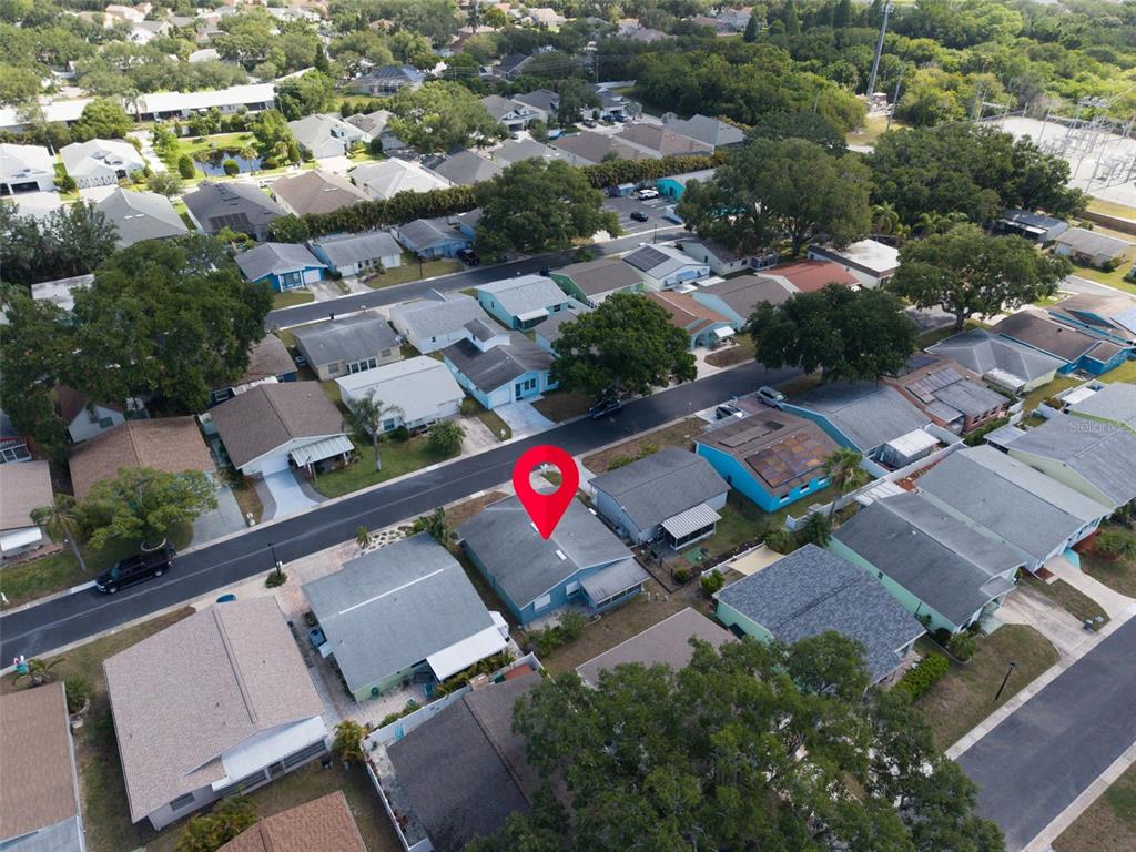 1009 Crane Court Dunedin, FL 34698 - Photo 42 of 63