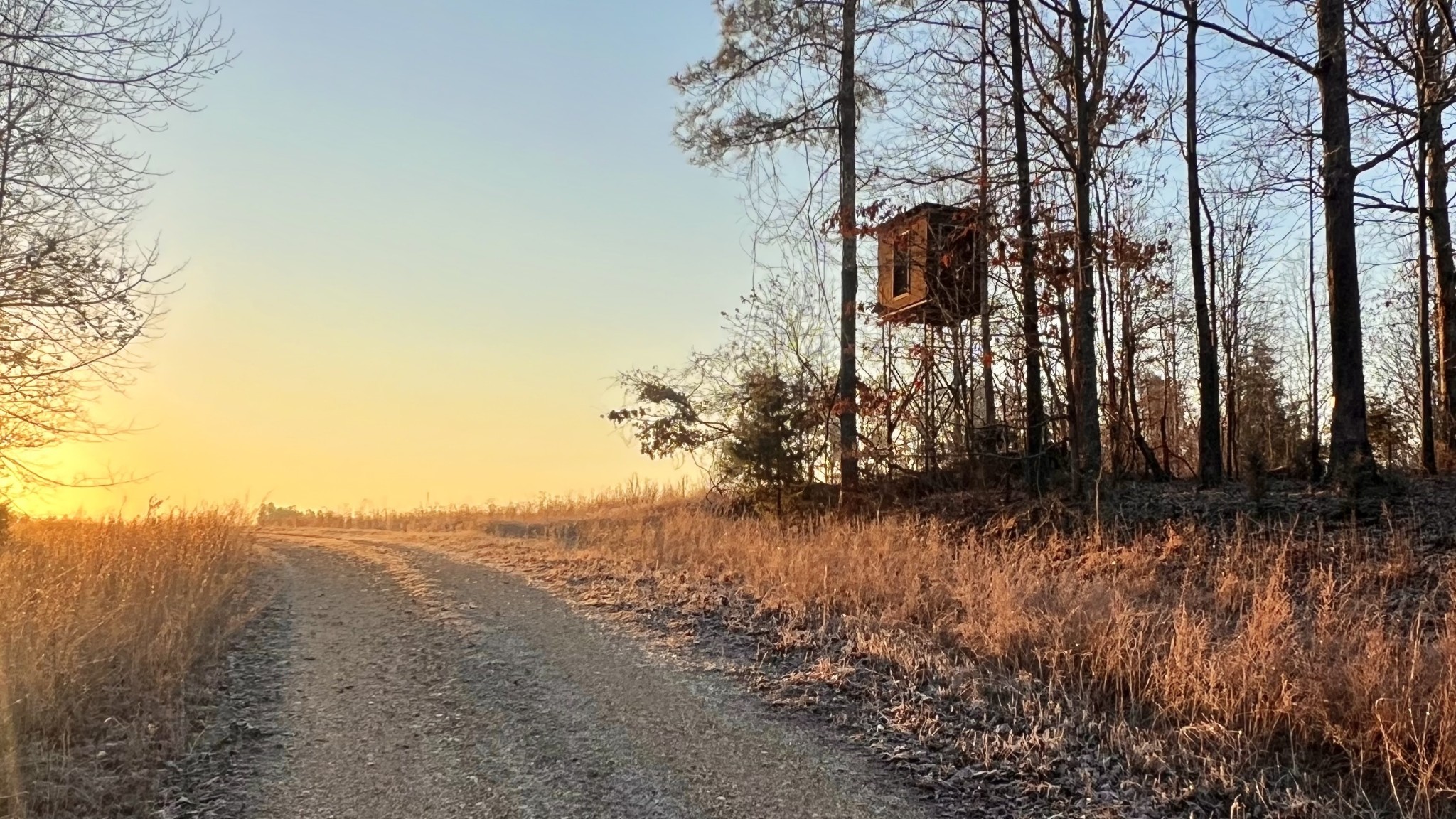 0 Seven 7 Mile Ridge Road Indian Mound, TN 37079 - Photo 11 of 34 a view of a yard next to a yard