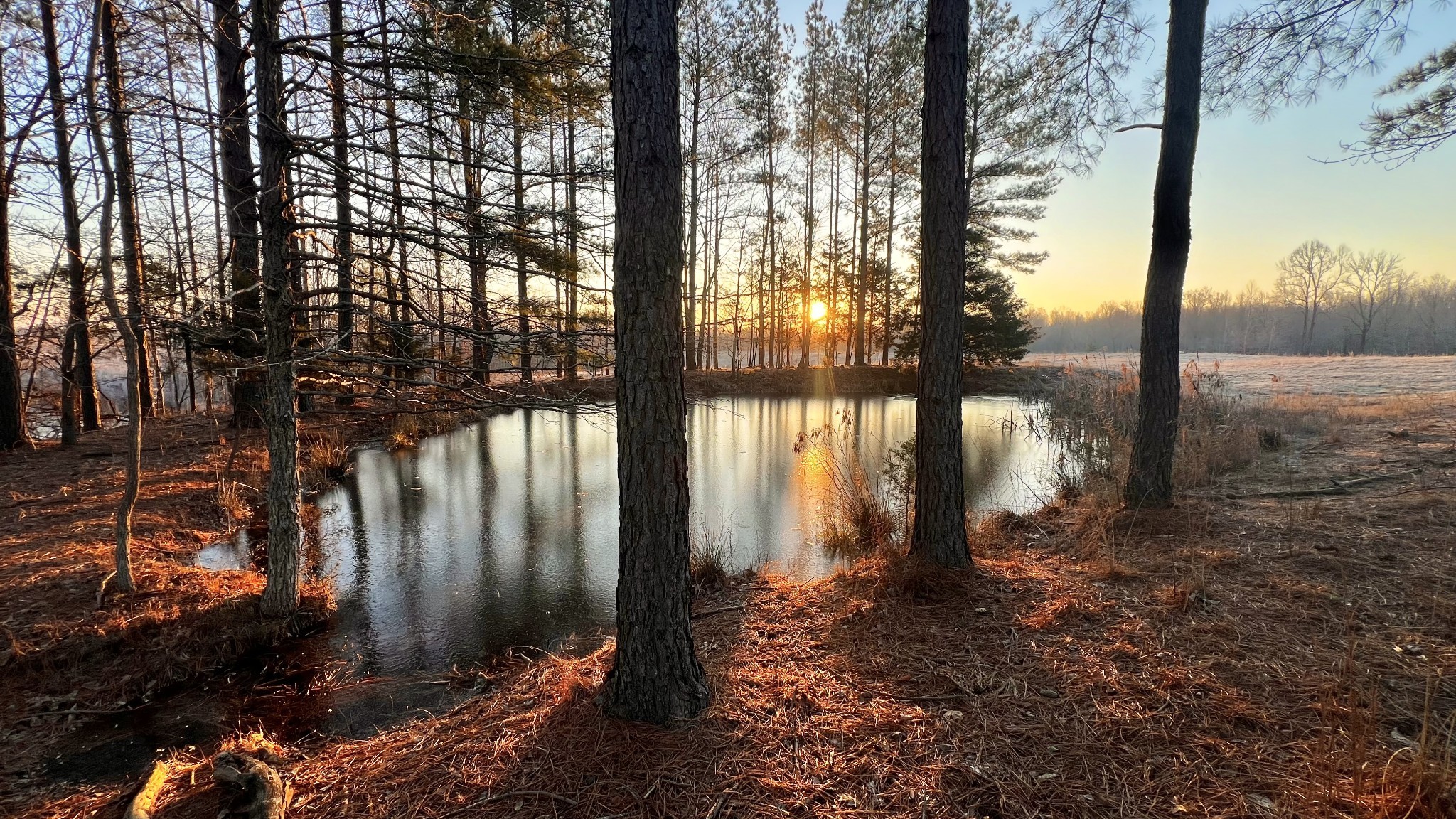 0 Seven 7 Mile Ridge Road Indian Mound, TN 37079 - Photo 2 of 34 a backyard of a house with lots of green space