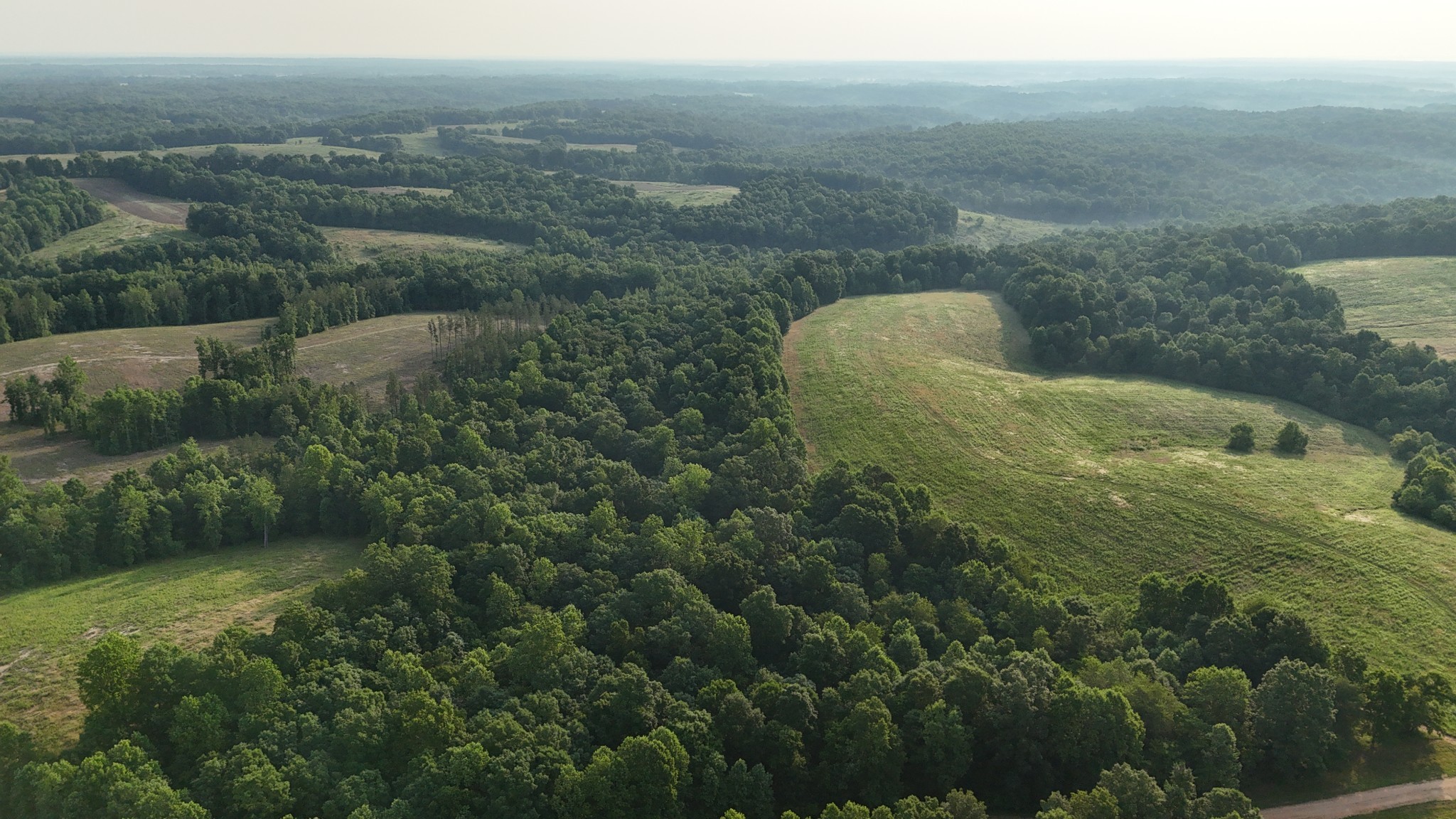 0 Seven 7 Mile Ridge Road Indian Mound, TN 37079 - Photo 26 of 34