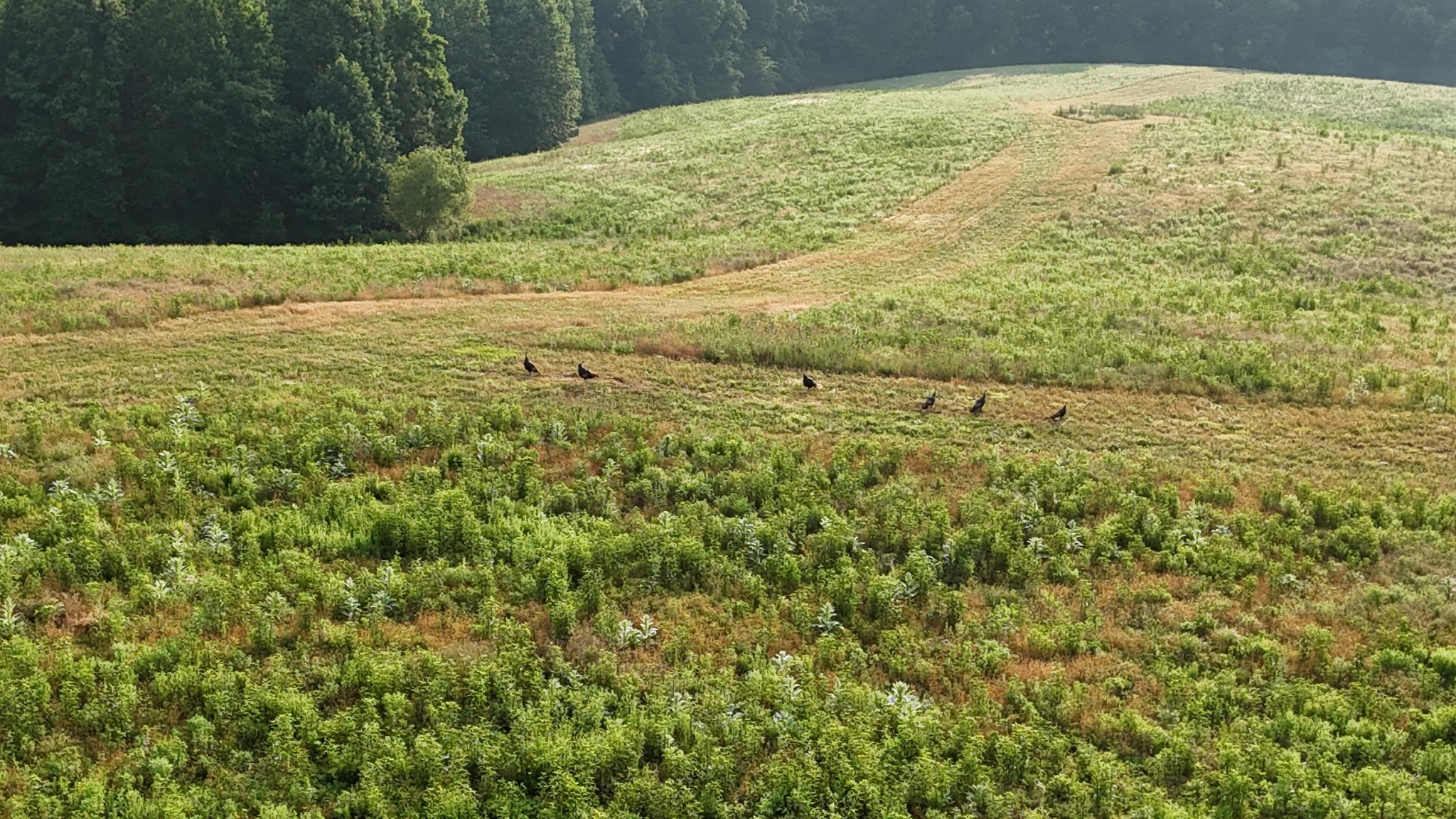 0 Seven 7 Mile Ridge Road Indian Mound, TN 37079 - Photo 29 of 34 a view of ocean view