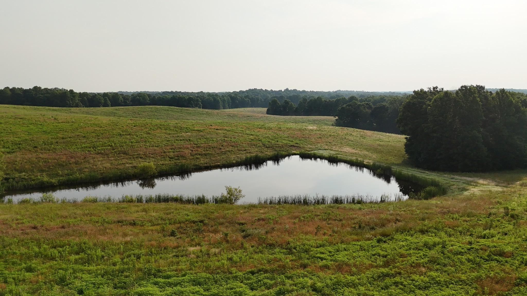 0 Seven 7 Mile Ridge Road Indian Mound, TN 37079 - Photo 33 of 34 a view of a lake