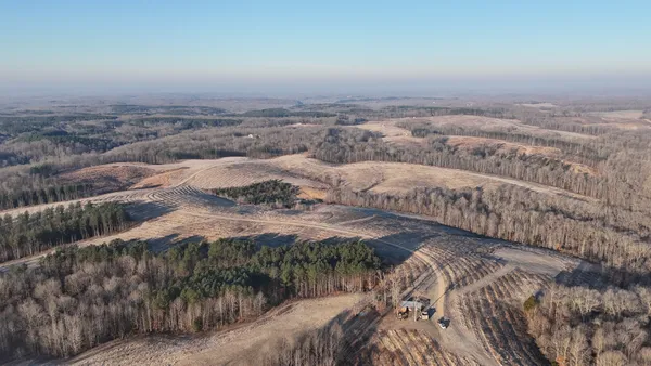 a view of a dry yard
