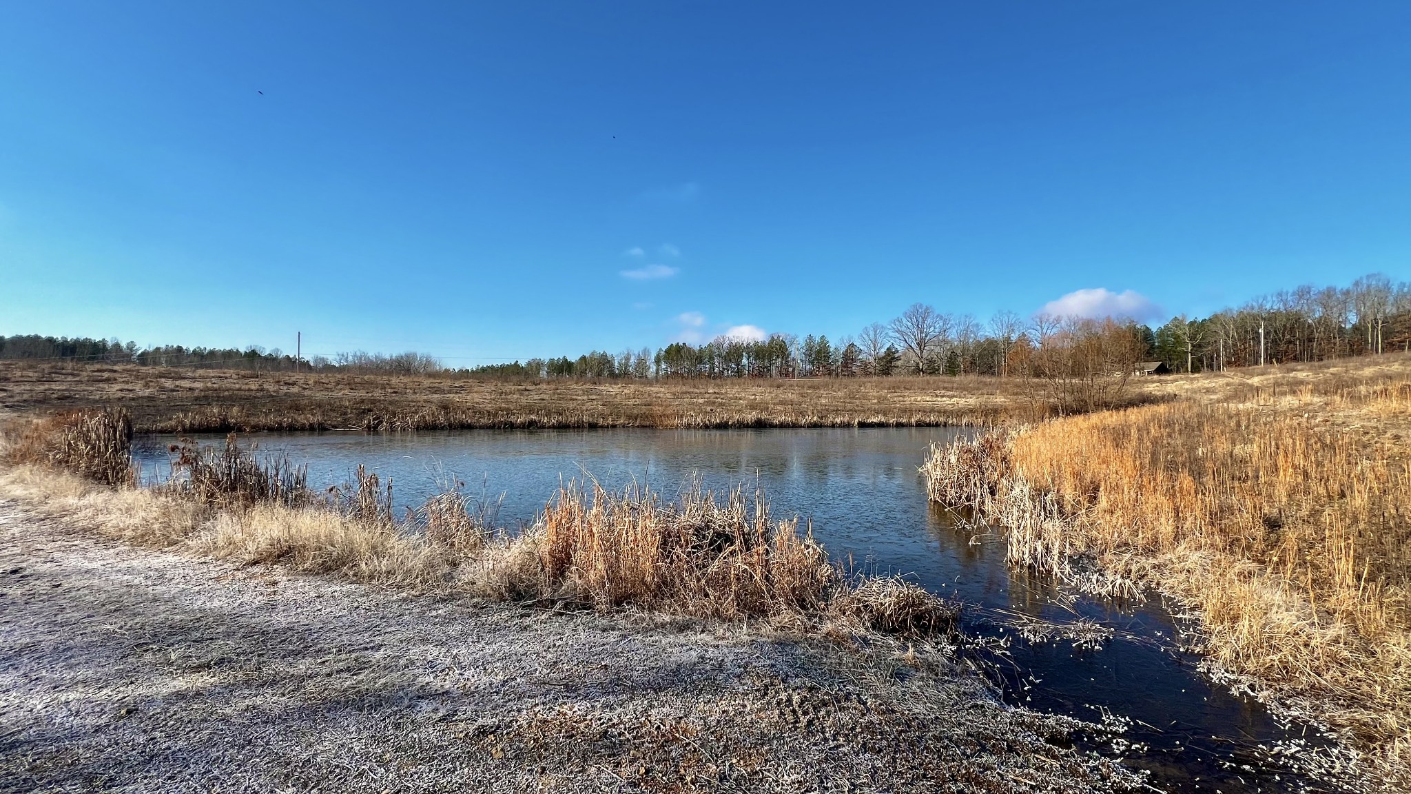 0 Seven 7 Mile Ridge Road Indian Mound, TN 37079 - Photo 8 of 34 a view of a lake in between two and trees