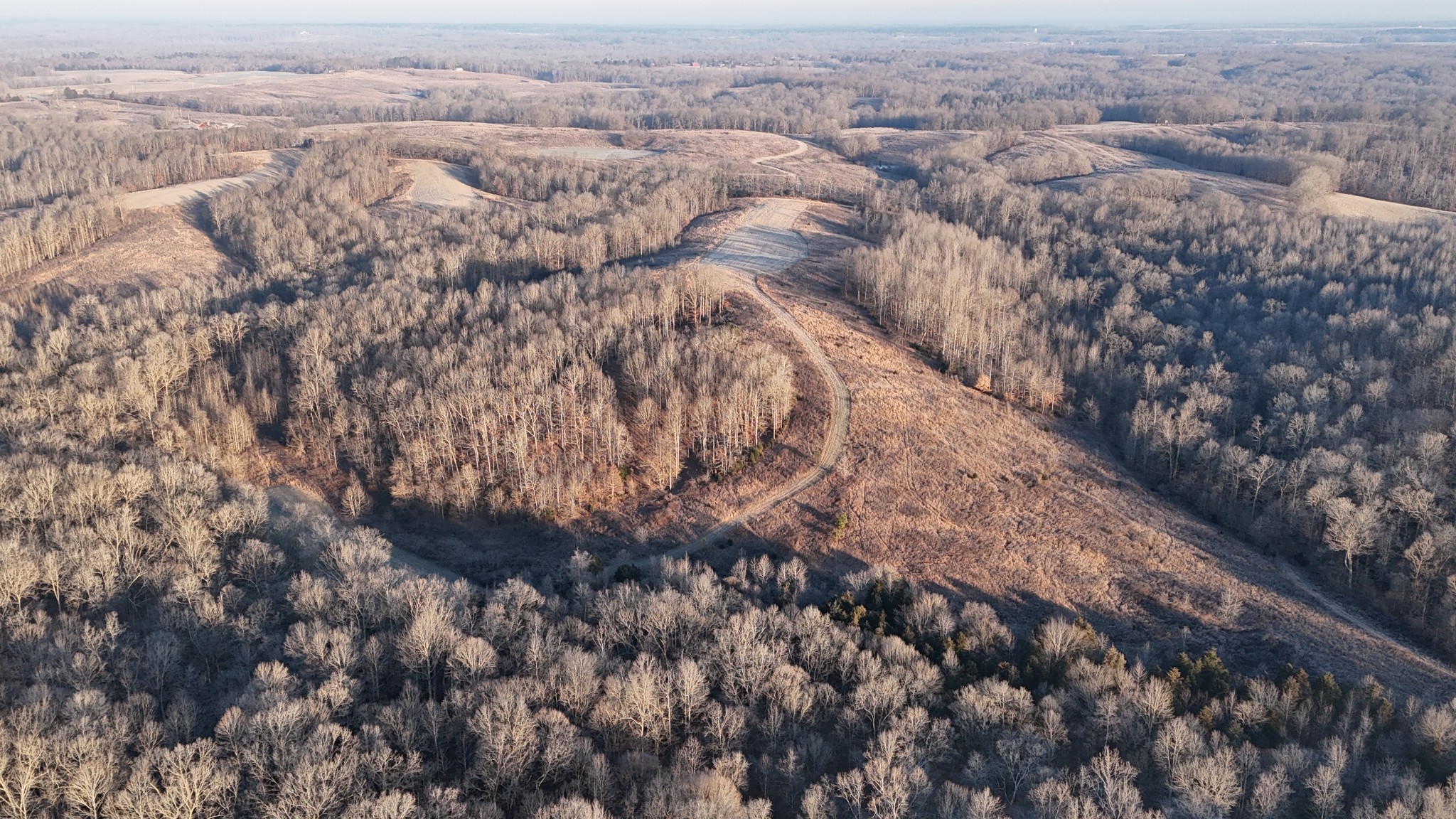 0 Seven 7 Mile Ridge Road Indian Mound, TN 37079 - Photo 9 of 34