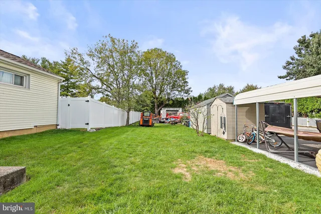 a small garden covered with tall trees