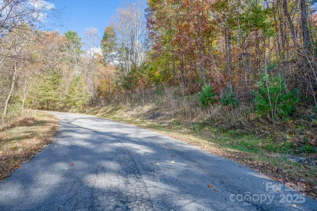 a view of dirt field with trees in the background