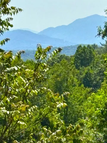a view of a lush green field