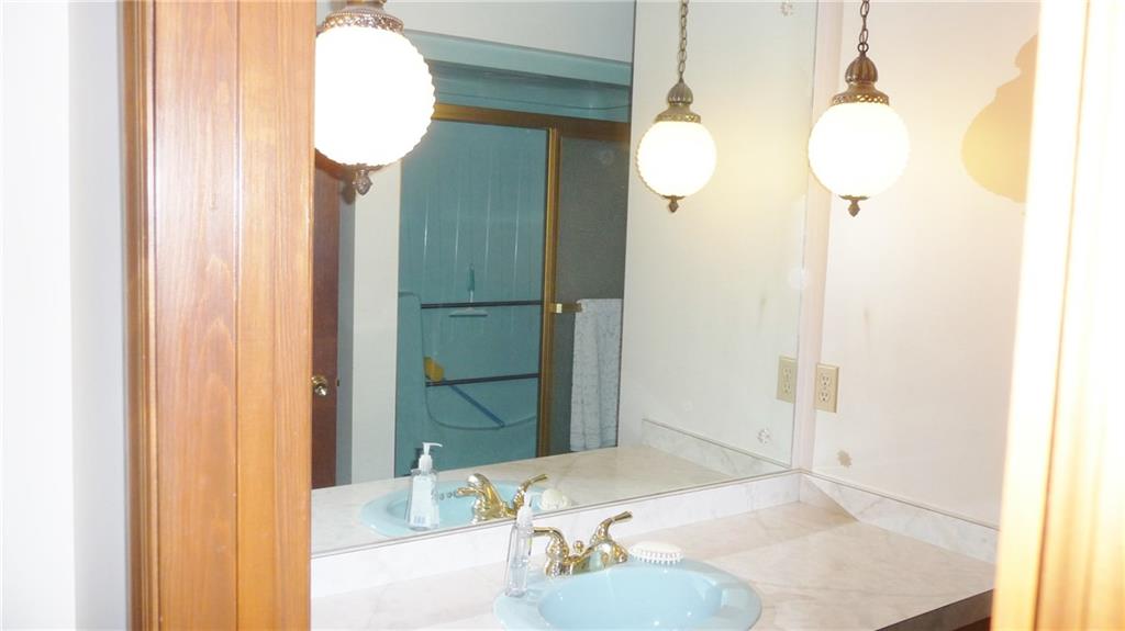 324-328 Guys Run Road Cheswick, PA 15024 - Photo 13 of 25 First floor full bath with large vanity and make-up area.