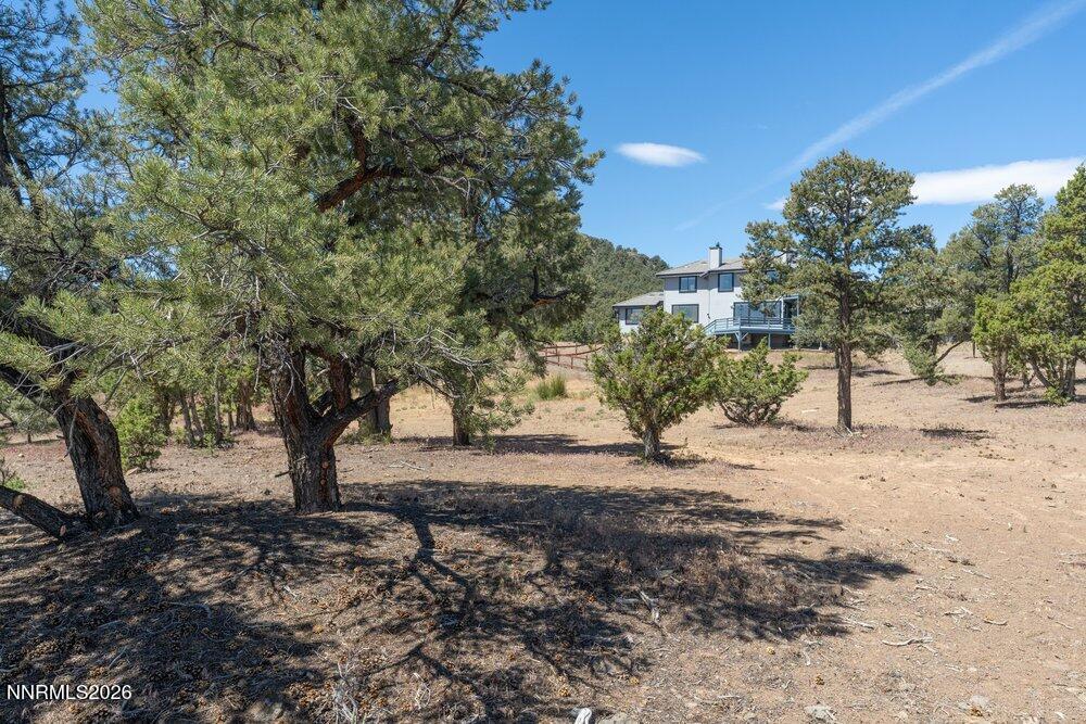 1790 Combination Road Reno, NV 89521 - Photo 44 of 46 view7