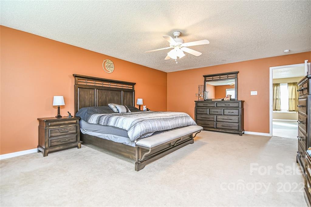 910 Torsion Lane Clover, SC 29710 - Photo 24 of 43