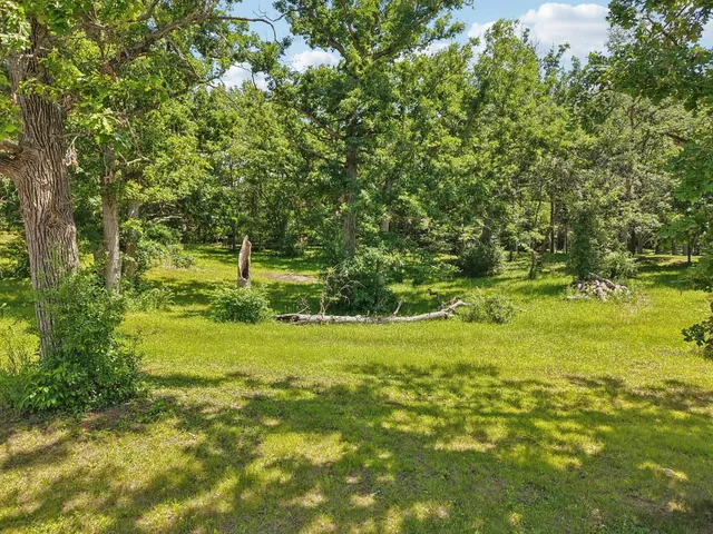 a view of a big yard with large trees