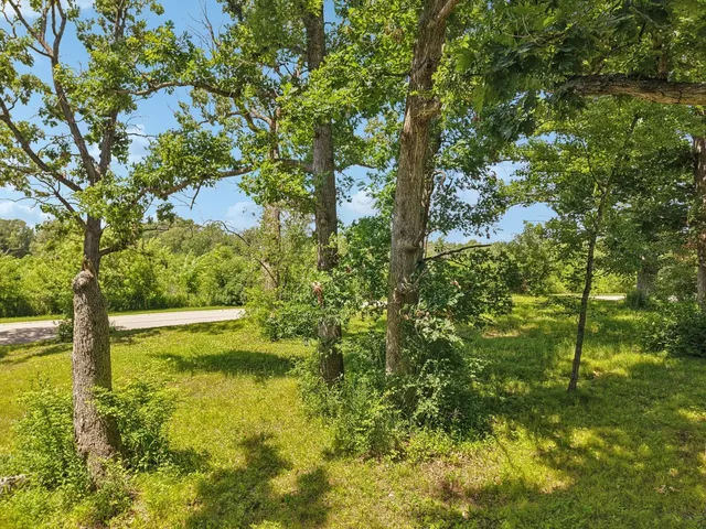 a view of yard with swimming pool