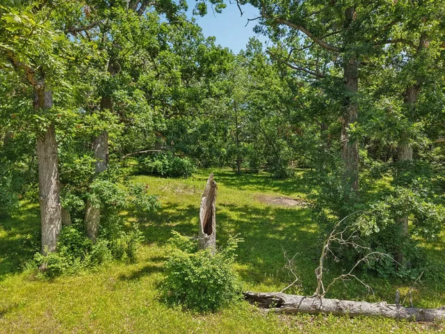 a backyard of a house with lots of green space