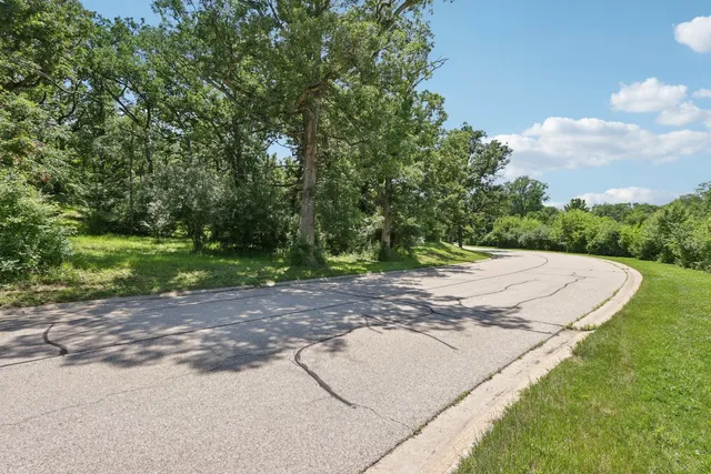 a view of a backyard with green space