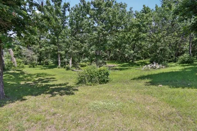 a view of a green field with plants