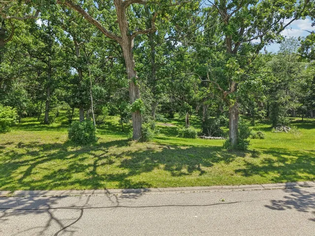 a view of a garden with a bench