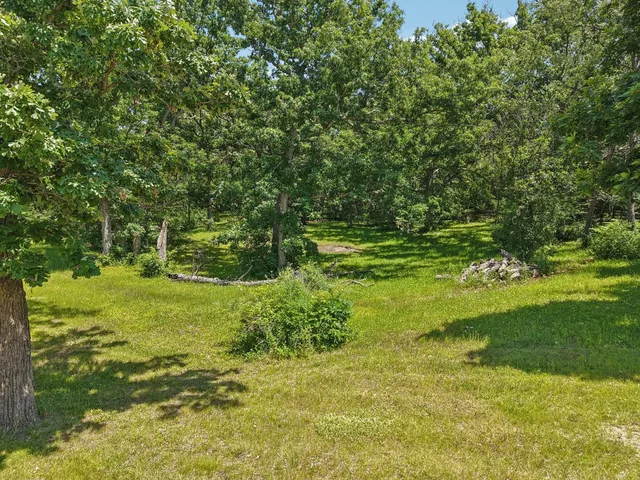a view of yard with green space