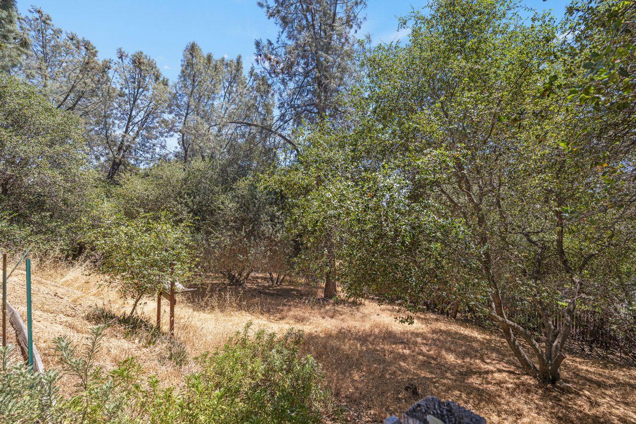 1785 Zia Road Placerville, CA 95667 - Photo 36 of 36
