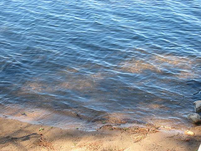 N11917 Deer Lake Road Tomahawk, WI 54487 - Photo 13 of 19 Gallery Image 13
