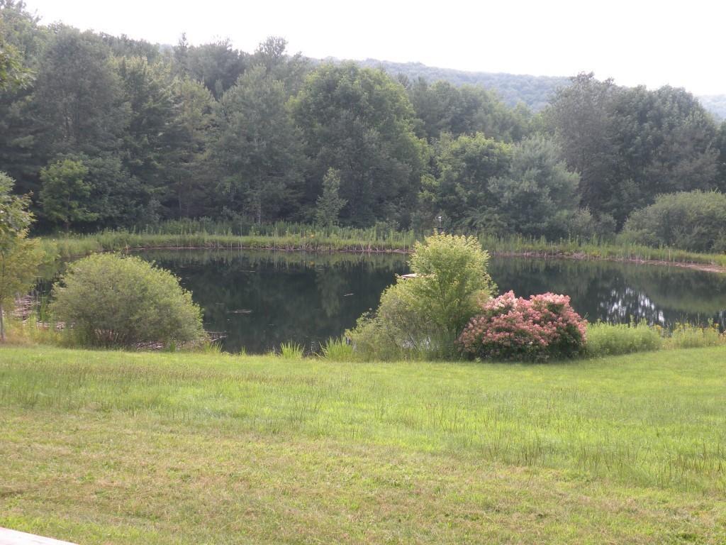 141 Fuller Road Port Crane, NY 13833 - Photo 24 of 31 Gallery Image 24