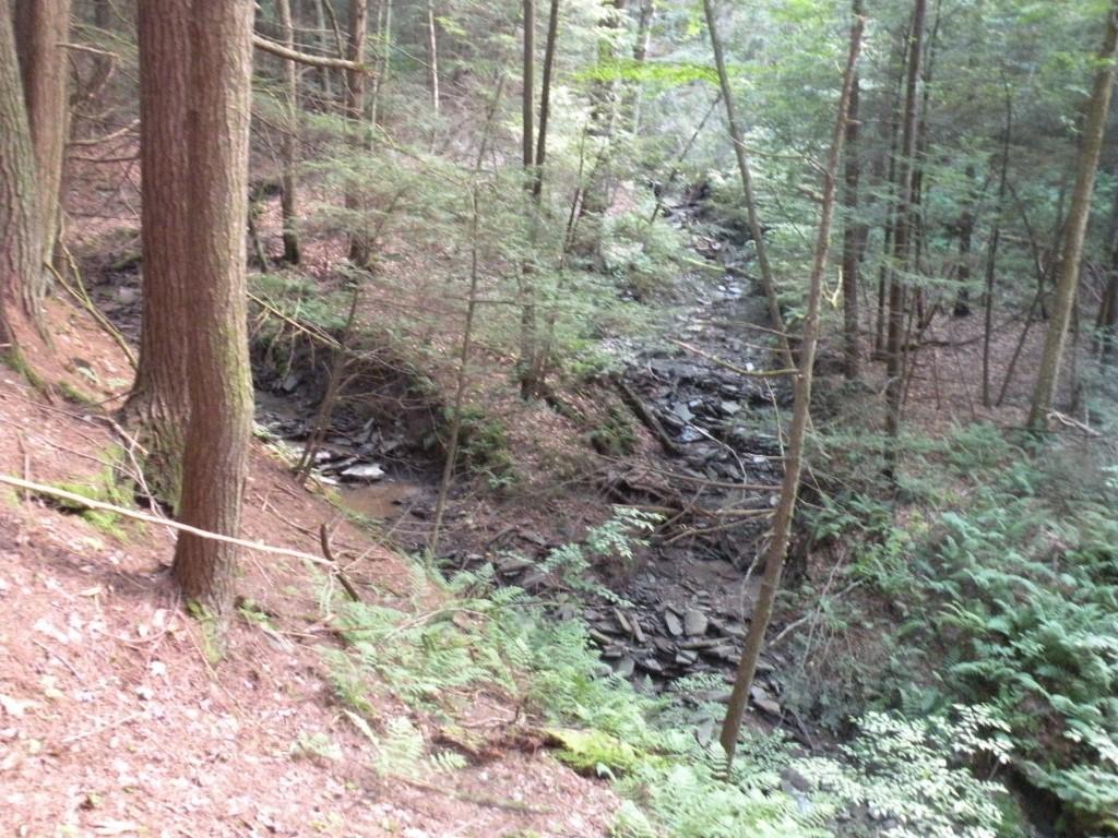141 Fuller Road Port Crane, NY 13833 - Photo 29 of 31 Gallery Image 29