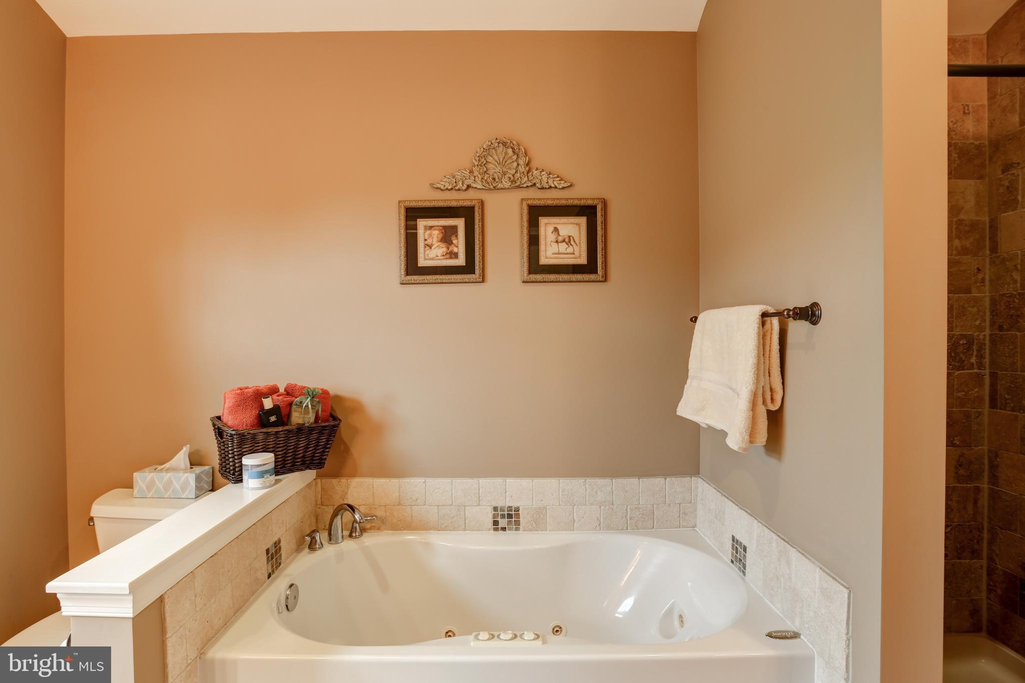 1305 Pheasant Run Road Middletown, PA 17057 - Photo 49 of 66 Gallery Image 49