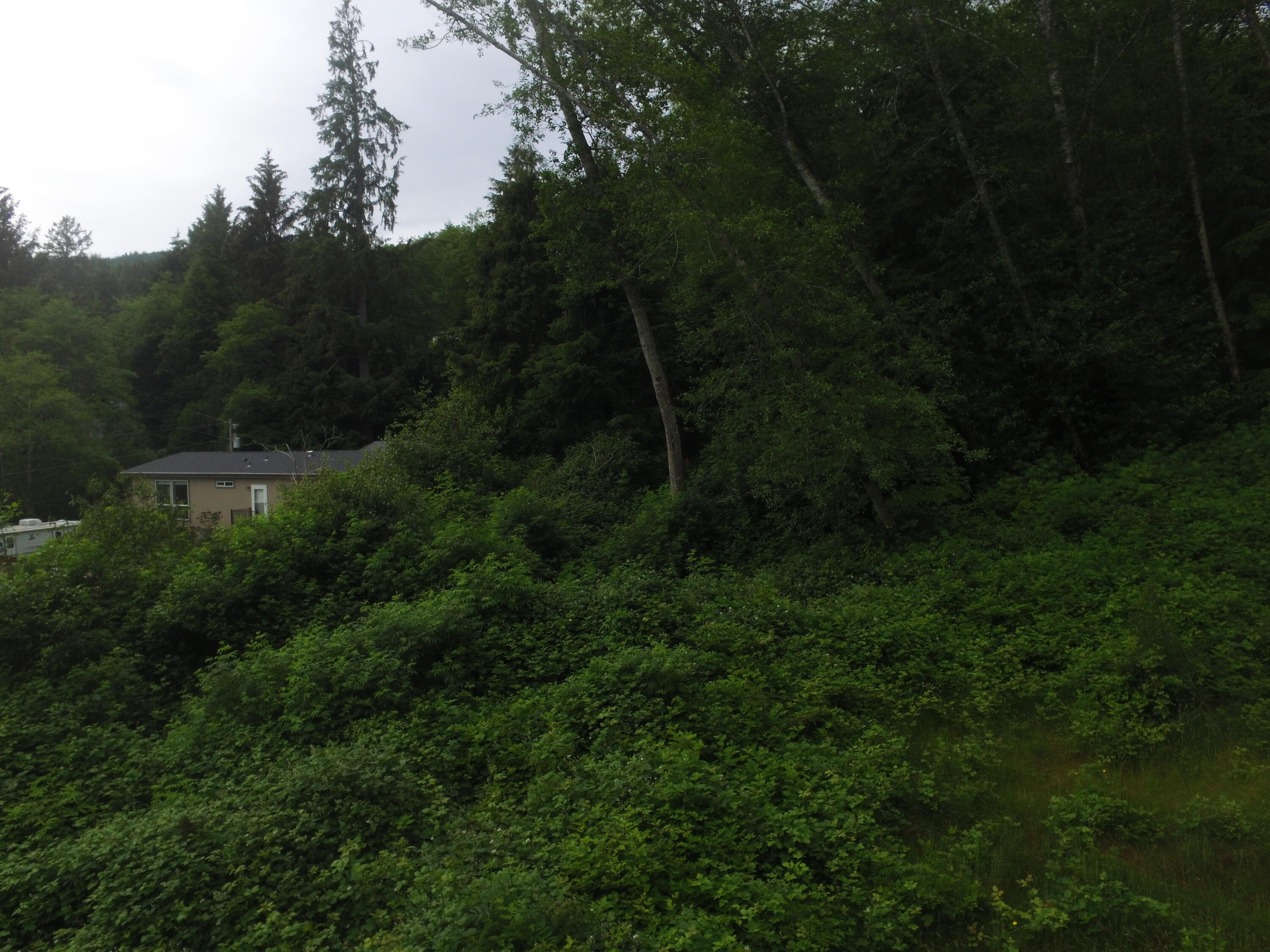 Vl Halverson Lane Garibaldi, OR 97118 - Photo 14 of 19 DJI_0006