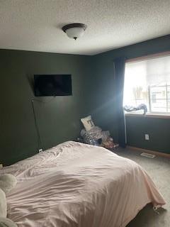 19652 Escalade Way Farmington, MN 55024 - Photo 11 of 16