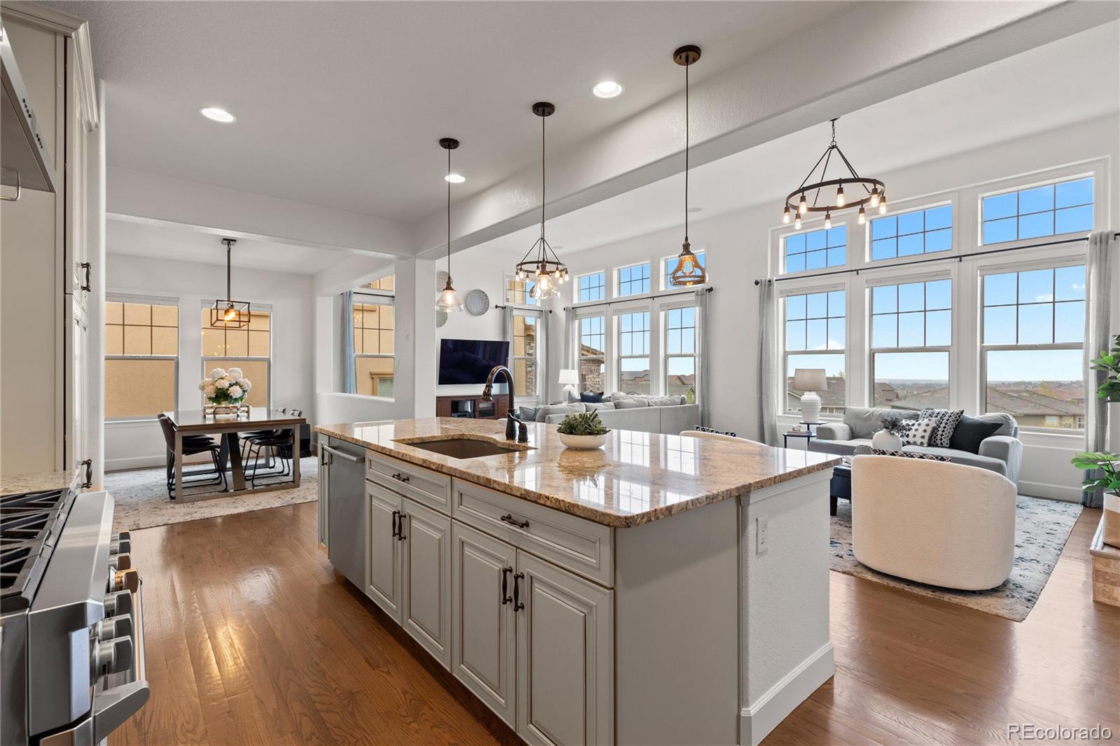 10815 Timberdash Avenue Highlands Ranch, CO 80126 - Photo 10 of 26
