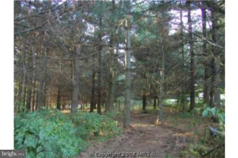 474 Biggs Highway Rising Sun, MD 21911 - Photo 8 of 13 Wooded View / Acreage