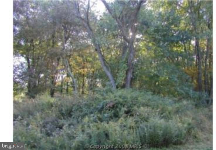 474 Biggs Highway Rising Sun, MD 21911 - Photo 9 of 13 Wooded View / Acreage 2