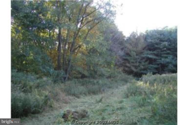 474 Biggs Highway Rising Sun, MD 21911 - Photo 10 of 13 Wooded View / Acreage 3