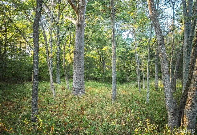 $89,700 | 3107 Bouquet Road, Wildwood, MO 63038