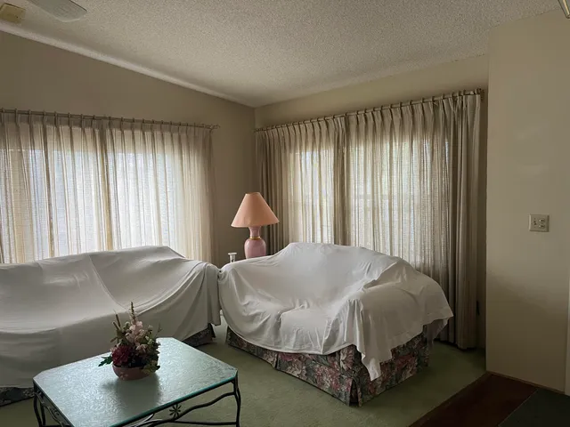 a bedroom with a bed window and a potted plant
