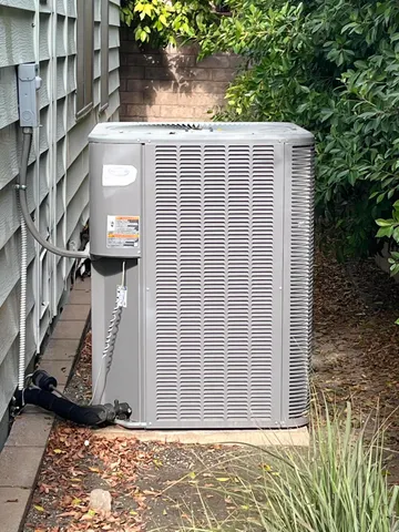 a view of backyard with cabin