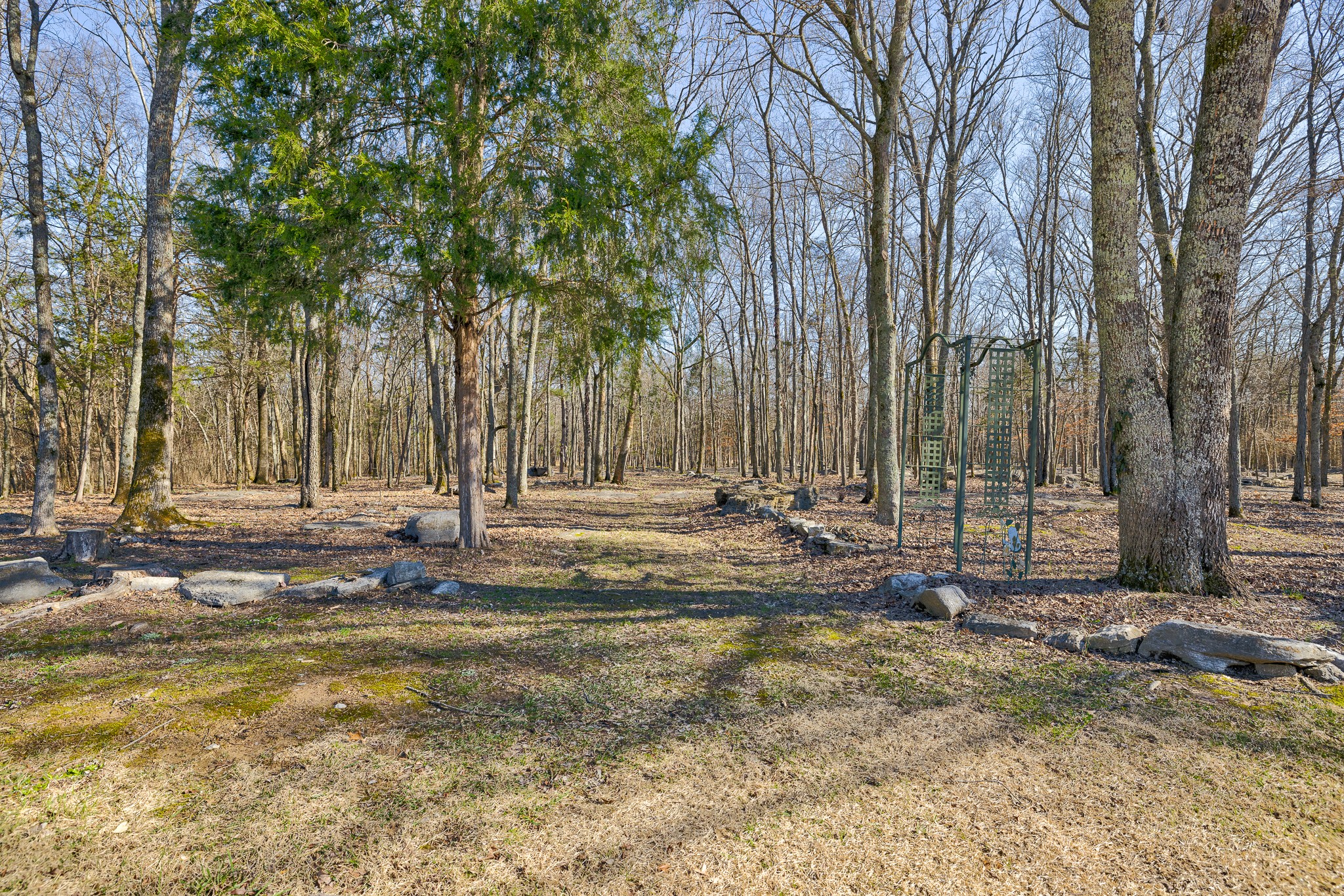 2543 Thompson Road Murfreesboro, TN 37128 - Photo 43 of 46 a view of a yard with large trees