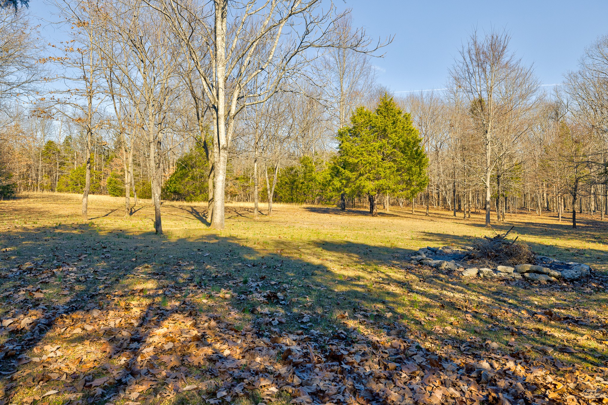 2543 Thompson Road Murfreesboro, TN 37128 - Photo 45 of 46 a view of yard with tree