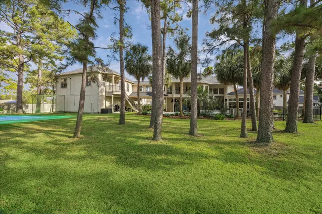 a view of a backyard with large trees