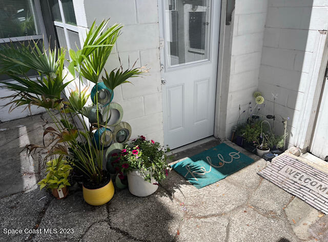 a potted plant sitting in front of a house