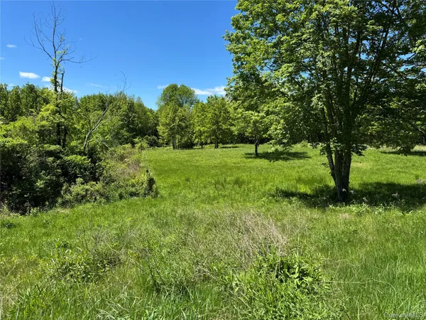 a view of a lush green space