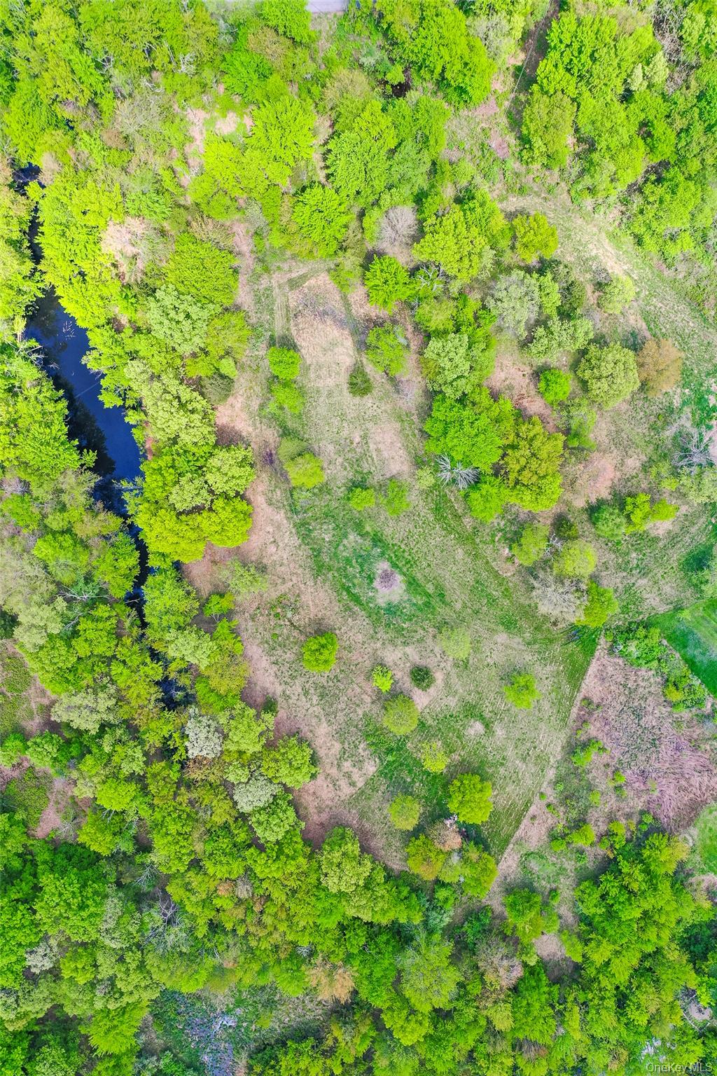 Tbd Stanford Road Millbrook, NY 12545 - Photo 3 of 8 a backyard of a house with lots of green space