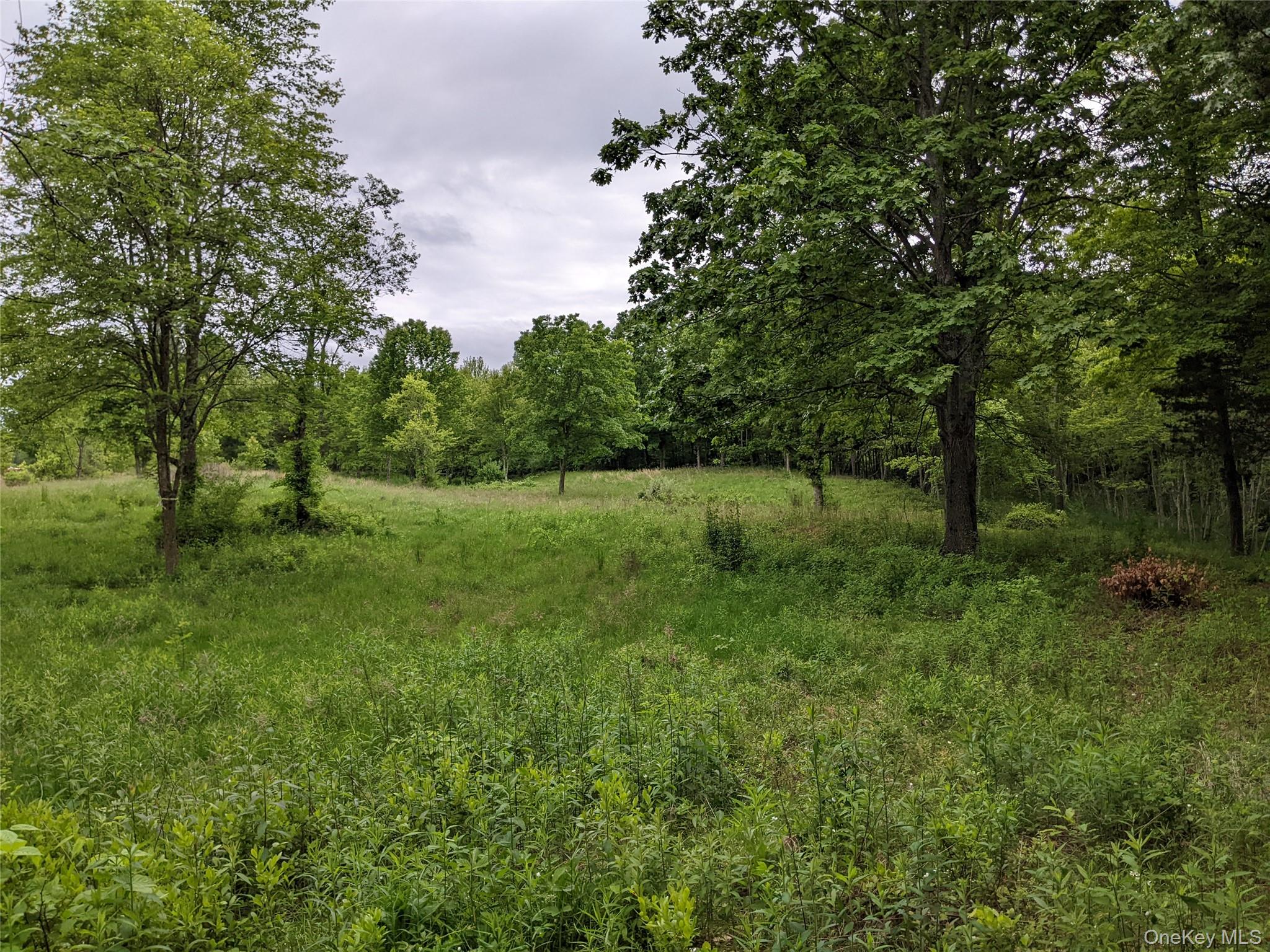 Tbd Stanford Road Millbrook, NY 12545 - Photo 4 of 8 a view of outdoor space with deck and yard