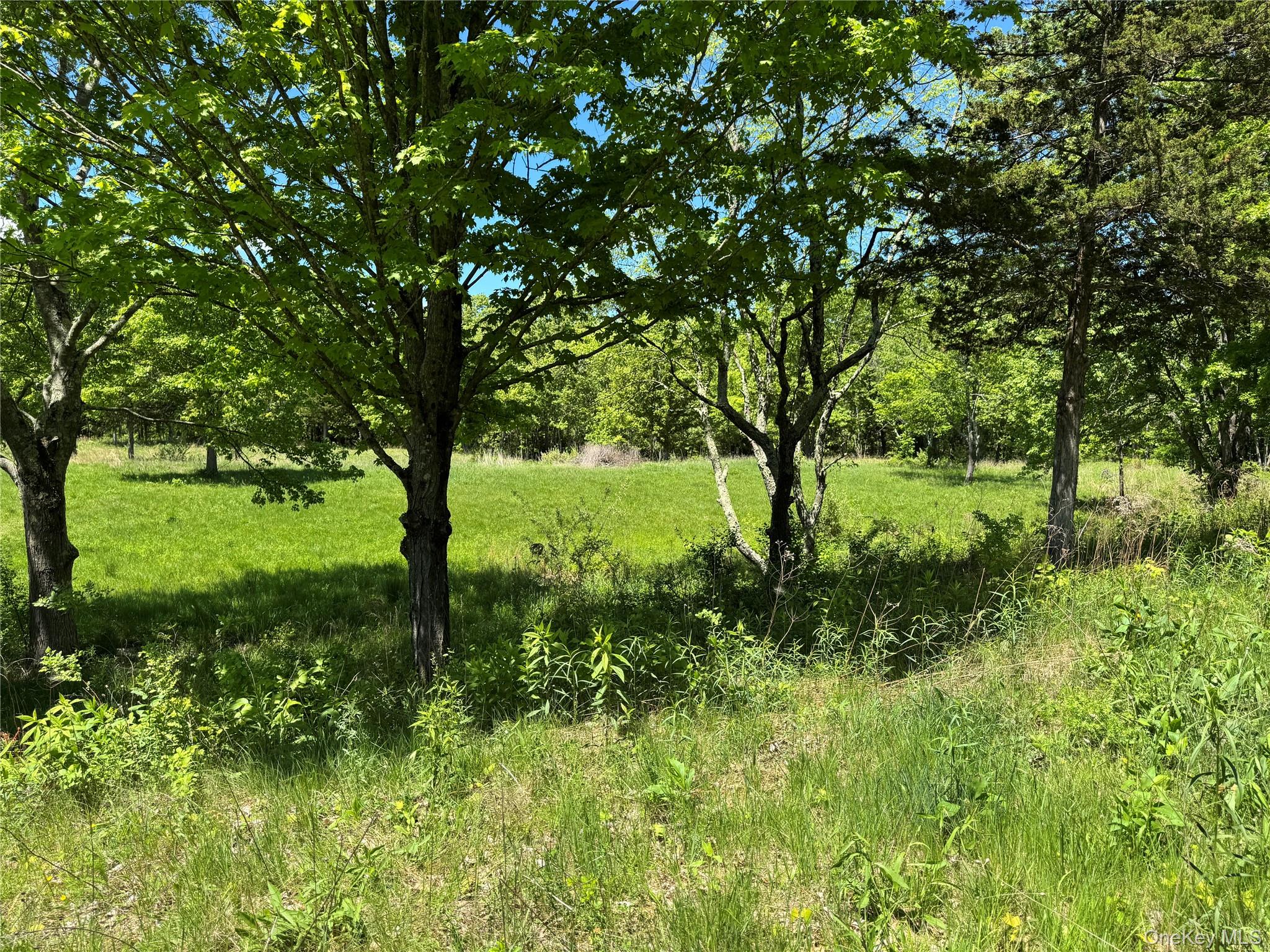Tbd Stanford Road Millbrook, NY 12545 - Photo 5 of 8 a view of outdoor space and yard