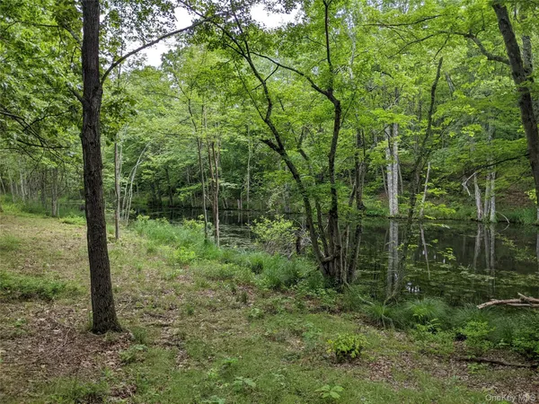 a view of forest