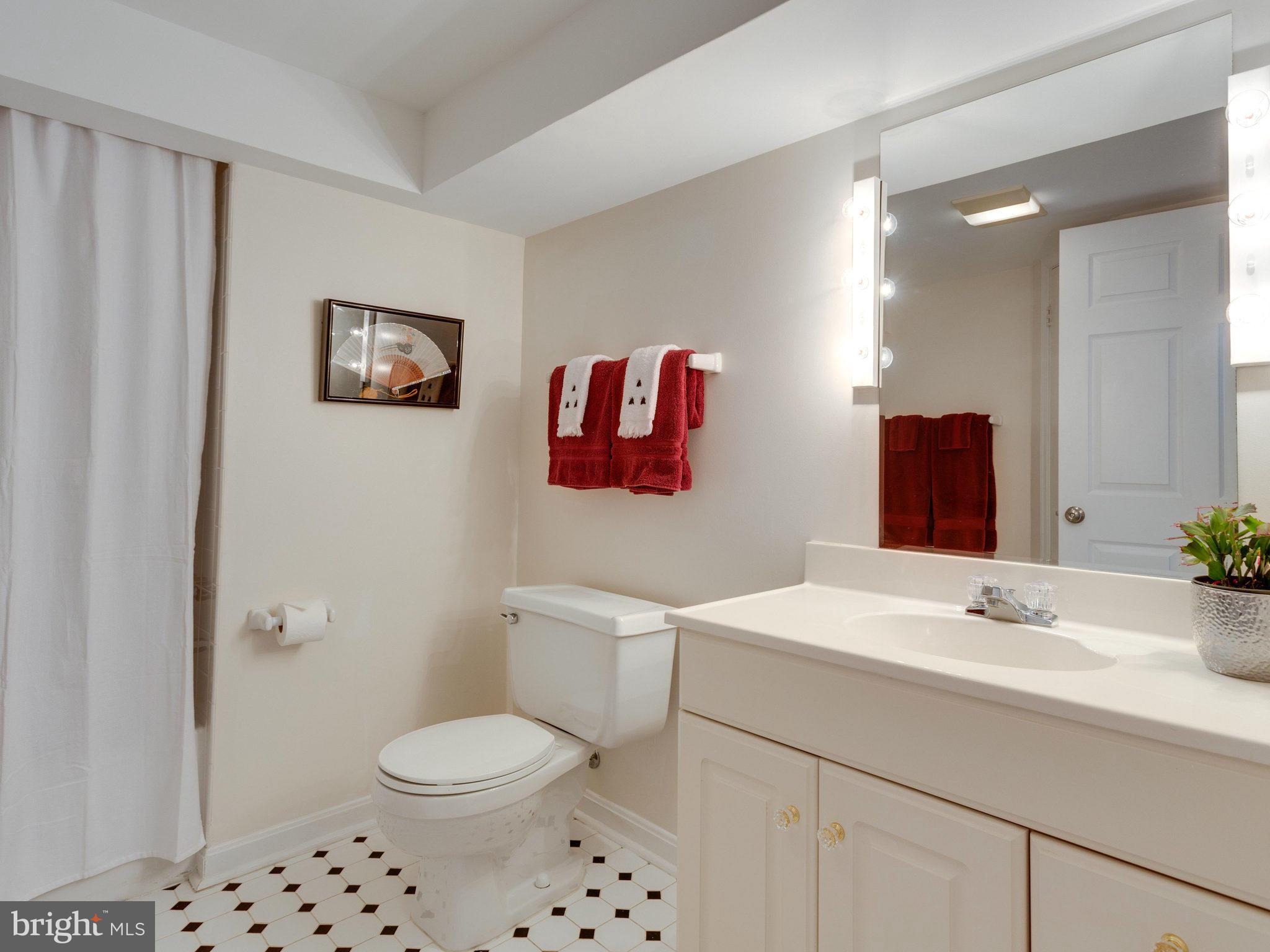 2808 Bree Hill Road Oakton, VA 22124 - Photo 24 of 29 Lower Level Full Bath