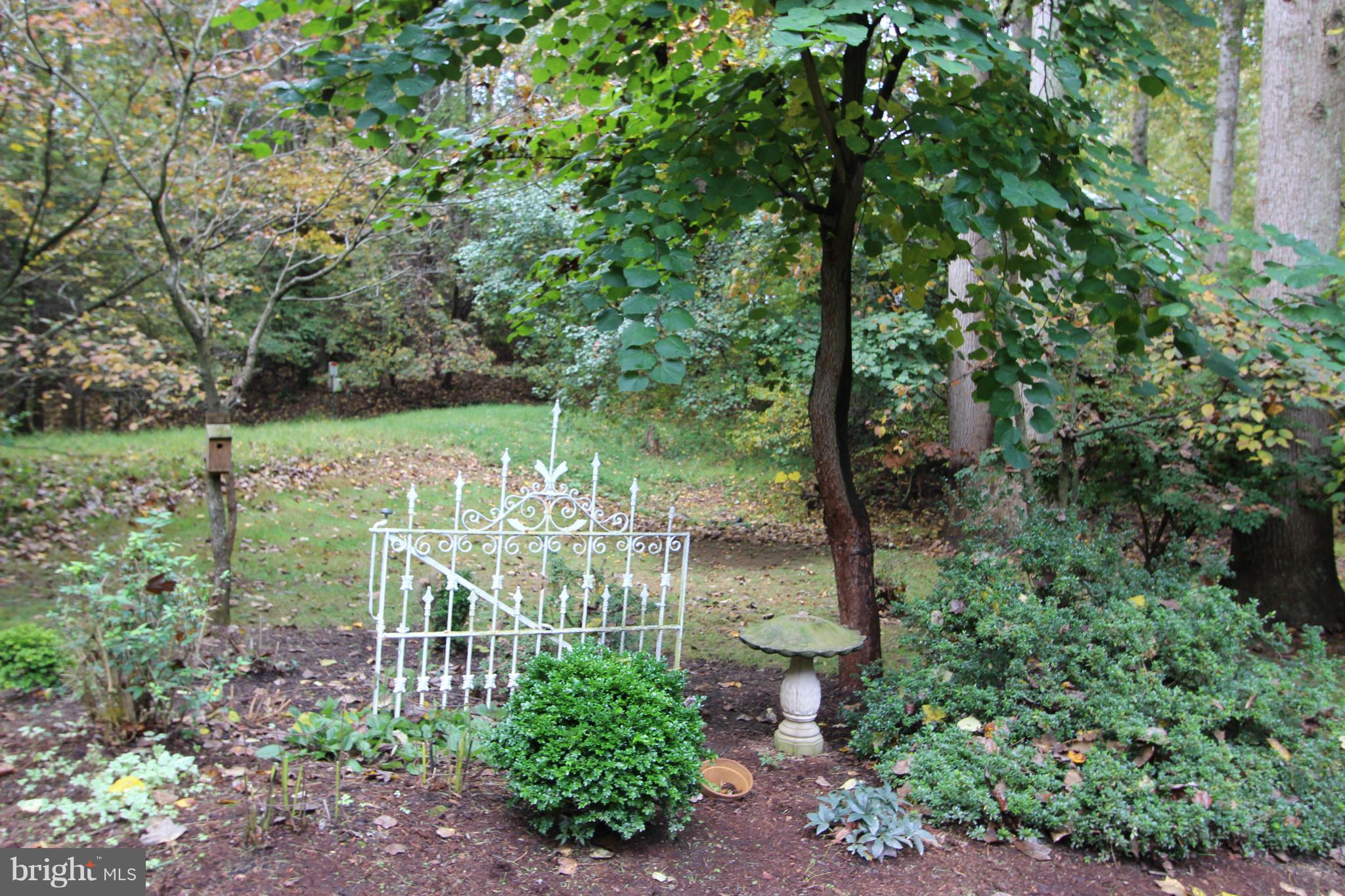 2808 Bree Hill Road Oakton, VA 22124 - Photo 27 of 29 Lovely Gardens Bordering Lush Lawn