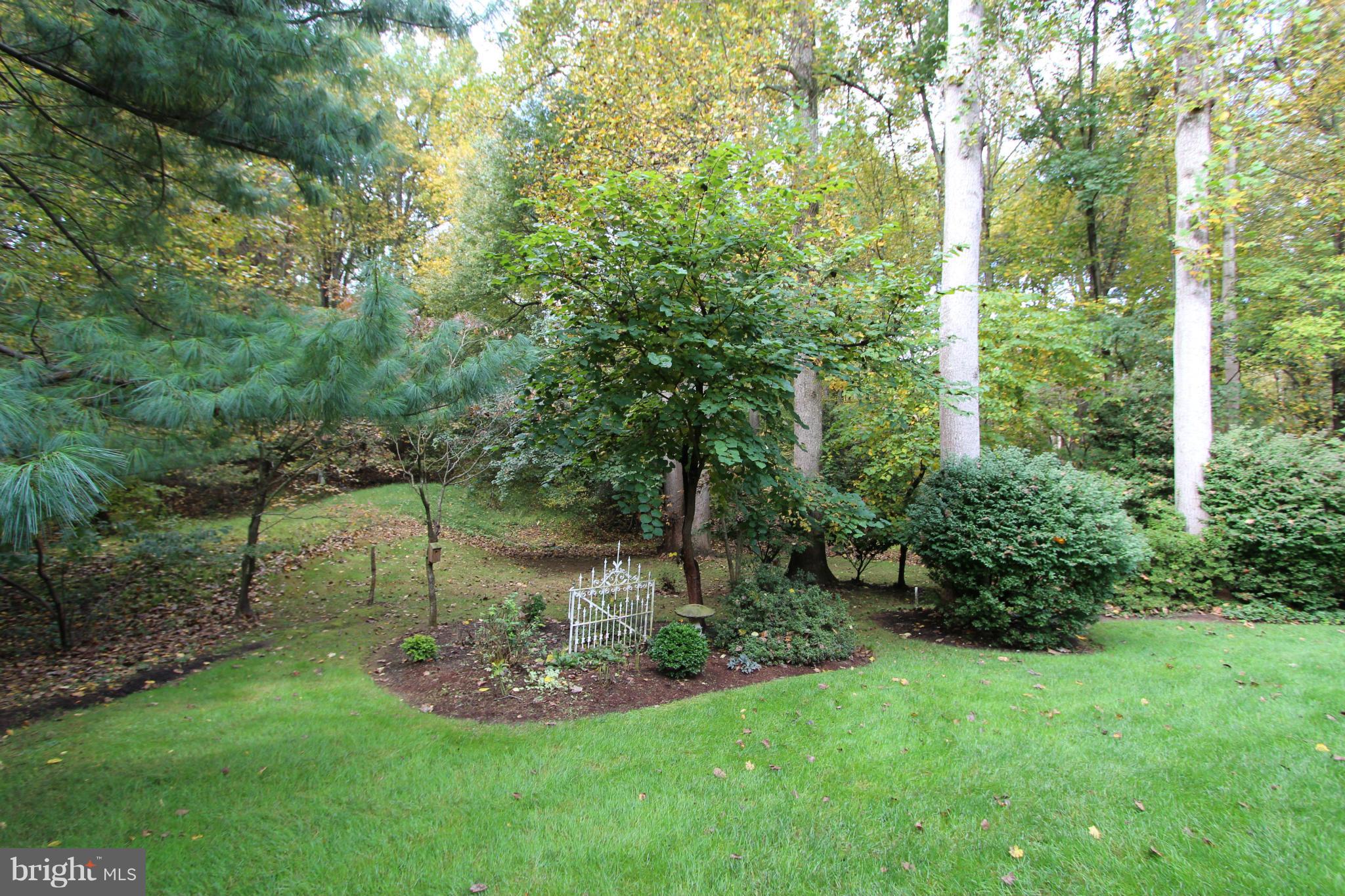 2808 Bree Hill Road Oakton, VA 22124 - Photo 28 of 29 Beautiful Yard and Landscaping...Serene Retreat